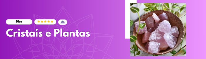 Cristais e 5 Plantas Mandala de Luz