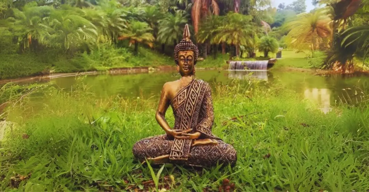 6 Diferenças entre o Buda Gordo e o Buda Magro Significados e Origens Blog Mandala de Luz