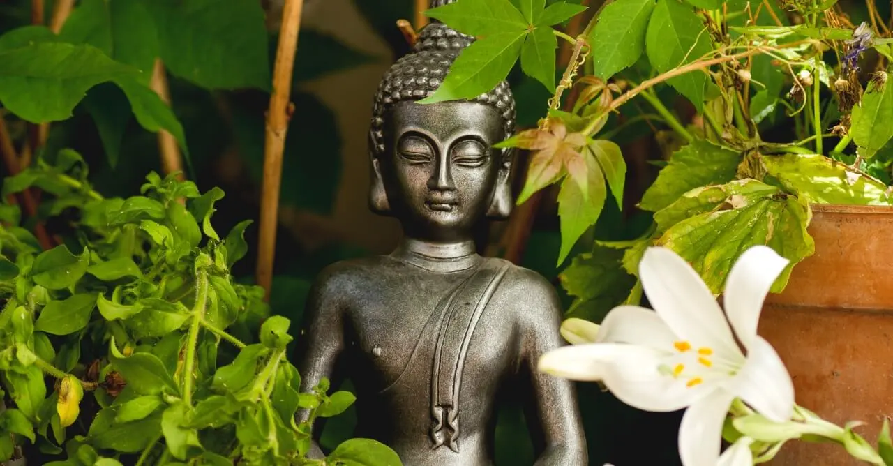 Ensinamentos de Buda Citações para Refletir no Dia a Dia