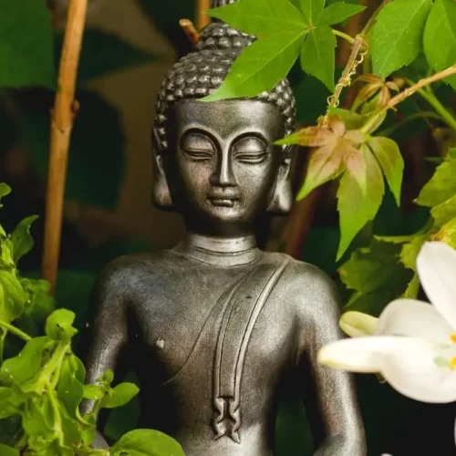 Ensinamentos de Buda Citações para Refletir no Dia a Dia